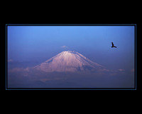 Mount Fuji and the Bird