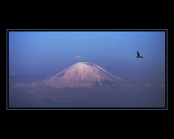 Mount Fuji and the Bird